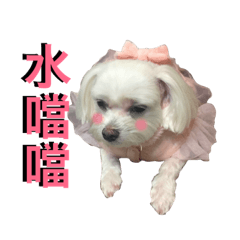 Tsai Mei Mei