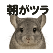 MINA_20250608114051
