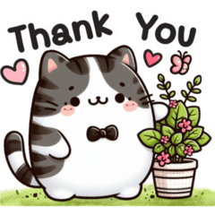 Cute Black & White Cat