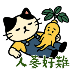 Catty's Punny Phrases