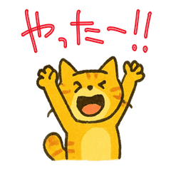 Cat Feeling Expression
