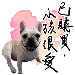 法鬥胖胖a貼圖-第三彈打工人日常