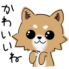 Anyway! cute puppy!