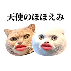 もろむくスタンプ9