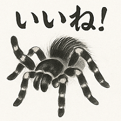 Tarantula (ink painting style)