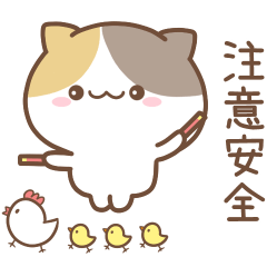 可愛貓貓❤貼心日常❤7