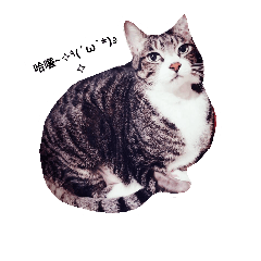 亞克斯♡