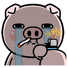 Fun pig with big eyes