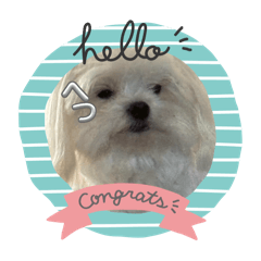 Lemon_20250607191308