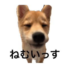 kuromaru03_20250607205017