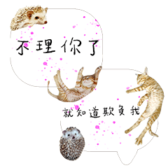 Cat and Hedgehog Life Diary-11-415