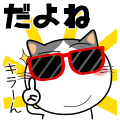 ハチワレ猫★お買い物