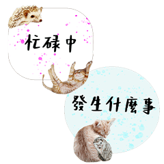 Cat and Hedgehog Life Diary-13-417
