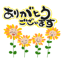 chaki_20250608151207
