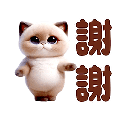 動感舞星 - 超萌暹羅貓 (HD)