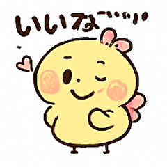 a cute and fluffy chick2
