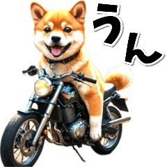 即返信♡バイク好き　豆柴