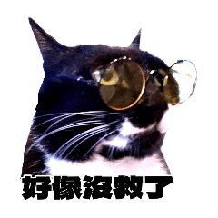神獸日常3