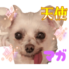 Kamiyan_20250608170626