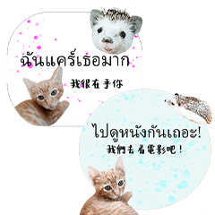 Cat and Hedgehog Life Diary-6-410