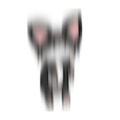 躍動感のある黒チワワ Line スタンプ Line Store 躍動感のある黒チワワ Line スタンプ Line Store