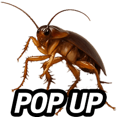MY COCKROACH 4 POP UP