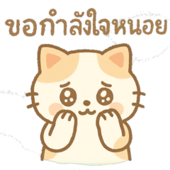 Meow: Everyday words