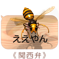 Hornets on the smartphone 5