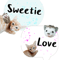 Cat and Hedgehog Life Diary-5-409