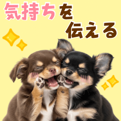 毎日使える！感情豊かで可愛いチワワ
