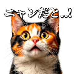 シュールなリアル猫のつぶやき(日常編)