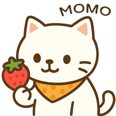 Momo the cute white cat!