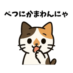 Calico Cat with a Cute Nose Mark
