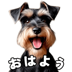 リアルシュナウザー（日常会話）