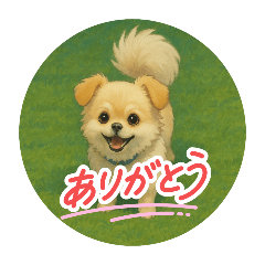 Ofu kun_20250609000733
