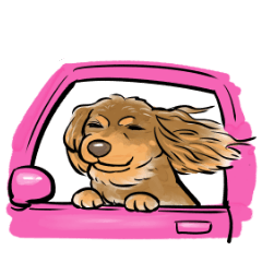 UCHINOKOstamp No. 70!