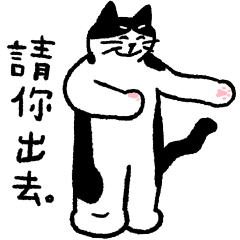 酷酷貓的厭世日常