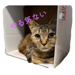 じろうとむぎのものがたり7