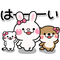 kawaii kotati1
