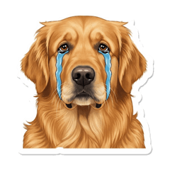 A Dog of Many Emotions