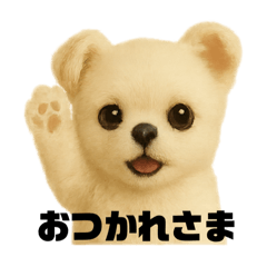 てんちゃん たるちゃん