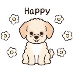 maltipoo.#9