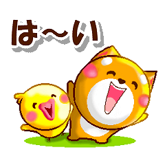 Kota and Piyo.For everyday communication