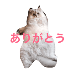 mori Gin Fu Pon
