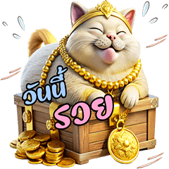 Cute Persian Cat : Daily Life