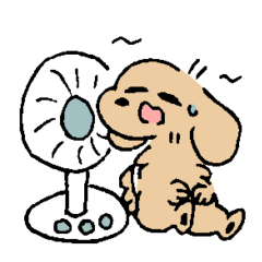 summer short leg dog