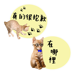 Cute orange cat's life diary-2-419