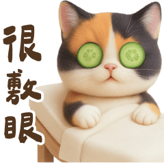 Cute daily practical sticker4