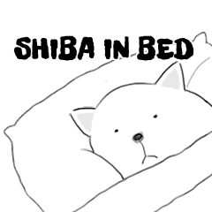 SHIBA IN BED !