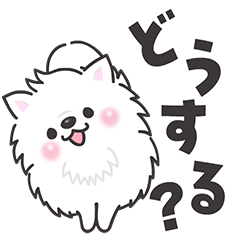 動く白くてふわふわのわんこ（待ち合わせ）